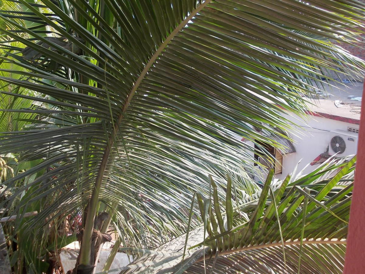 Hotel Sun Plaza-Near Konark Sun Temple- Couple Friendly-Best Choice Of Travellers Eksteriør bilde